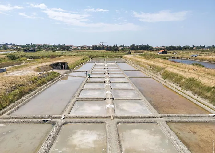 Cap Etoilee Apartment Saint-Hilaire-de-Riez