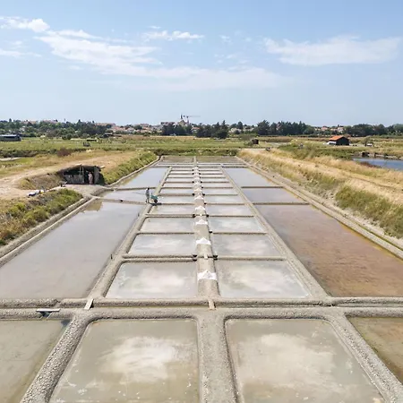 Cap Etoilee Apartment Saint-Hilaire-de-Riez